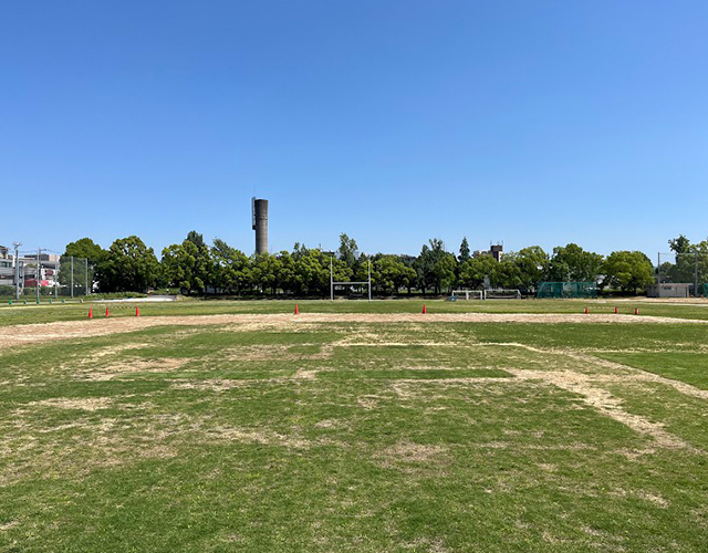 天然芝の再利用1